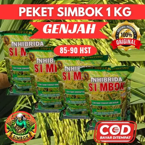 (1KG) GENJAH PADI SIMBOK USIA 85-90 HST POTENSI HASIL MAKSIMAL 9-10 TON PER HEKTAR ORIGINAL