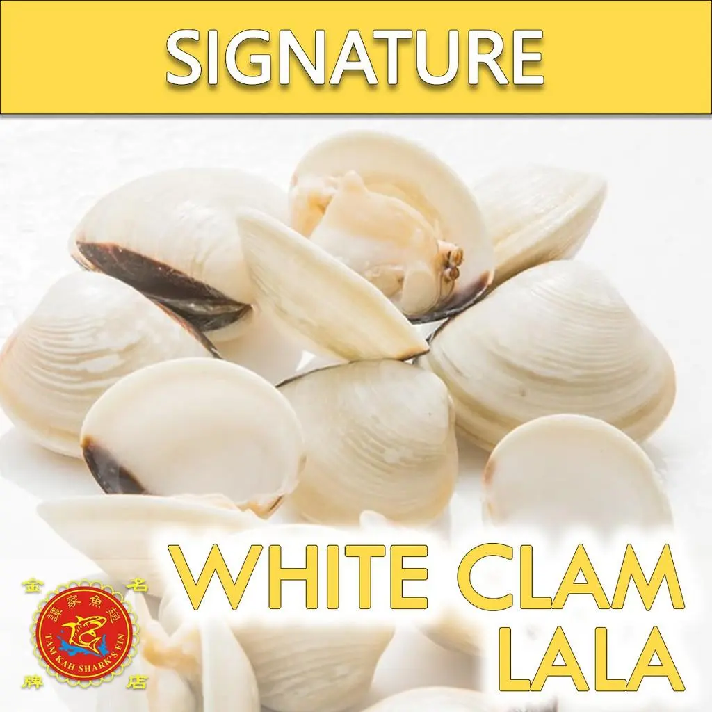 ★★ Frozen White Clam with Shell (La La) | 500G/PKT | READY TO USE | SUITABLE