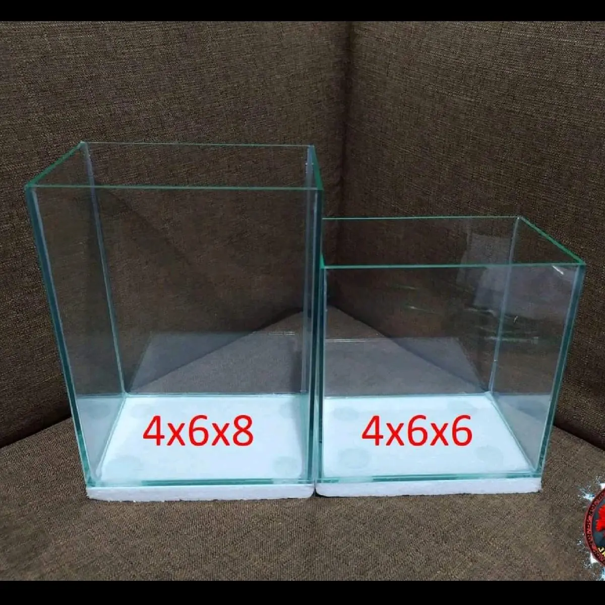 Betta Tank (Fish Tank for Betta Fish)