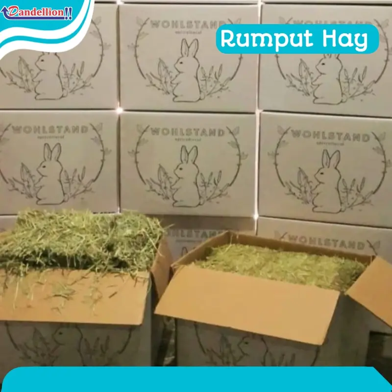 Makanan Kelinci Rumput  TIMOTHY Hay 1kg/  Wohlstand 100% Organic 0