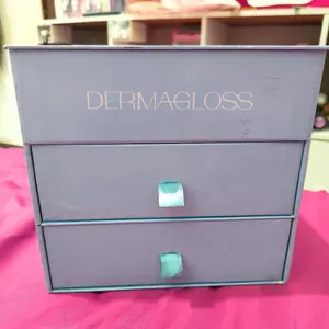 Dermagloss Kotak Penyimpanan Kosmetik dengan 2 Laci dan Desain Elegan untuk Organisasi Makeup Anda