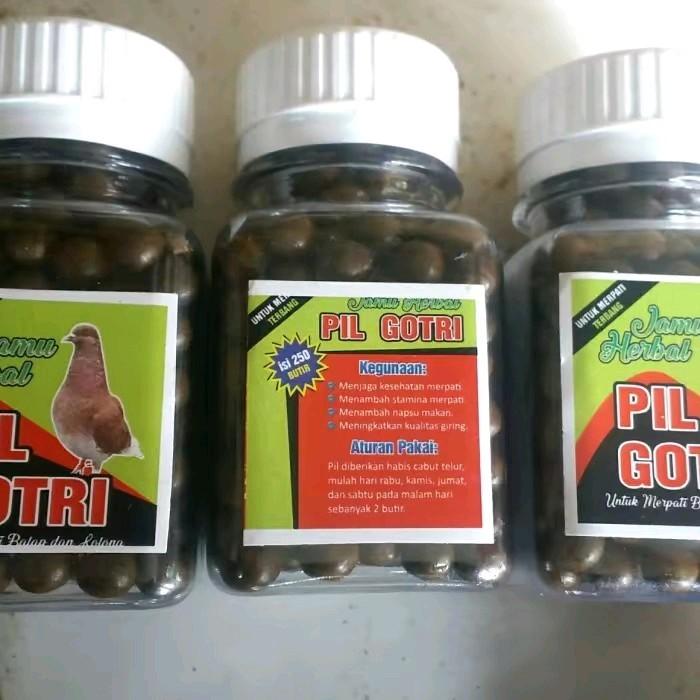 JAMU MERPATI PIL GOTRI 250 BUTIR KHUSUS TERBANG 2