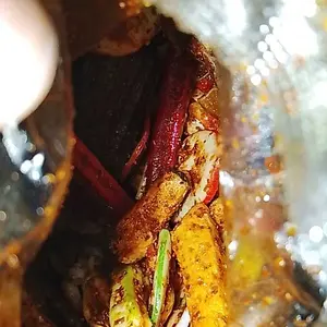 Seblak Mix Sagala Aya Ratubasreng 500 Gram Pedas Daun Jeruk - Camilan/Lauk Pauk - Kerupuk