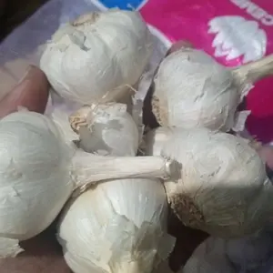 Bawang putih impor Kating 500gram (1/5kg)