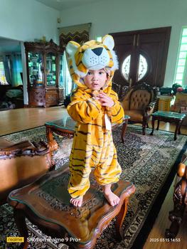 BABYLOUS Newborn Baby Kirugumi Animal Cartoon Romper Hooded