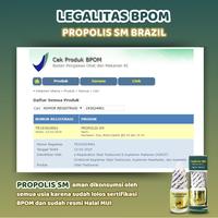 Gambar PROPOLIS SM Herbal Tetes Sakit Gigi Berlubang Gusi Bengkak Anak Dewasa Isi 6ml dari Adhitama.Herbal Kota Administrasi Jakarta Barat 5 Tokopedia