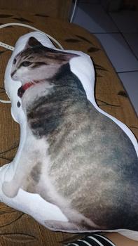 Product Review of Bizzarpillow Bantal Anabul Custom Anjing / Kucing Size M BZ303 from l**a 0