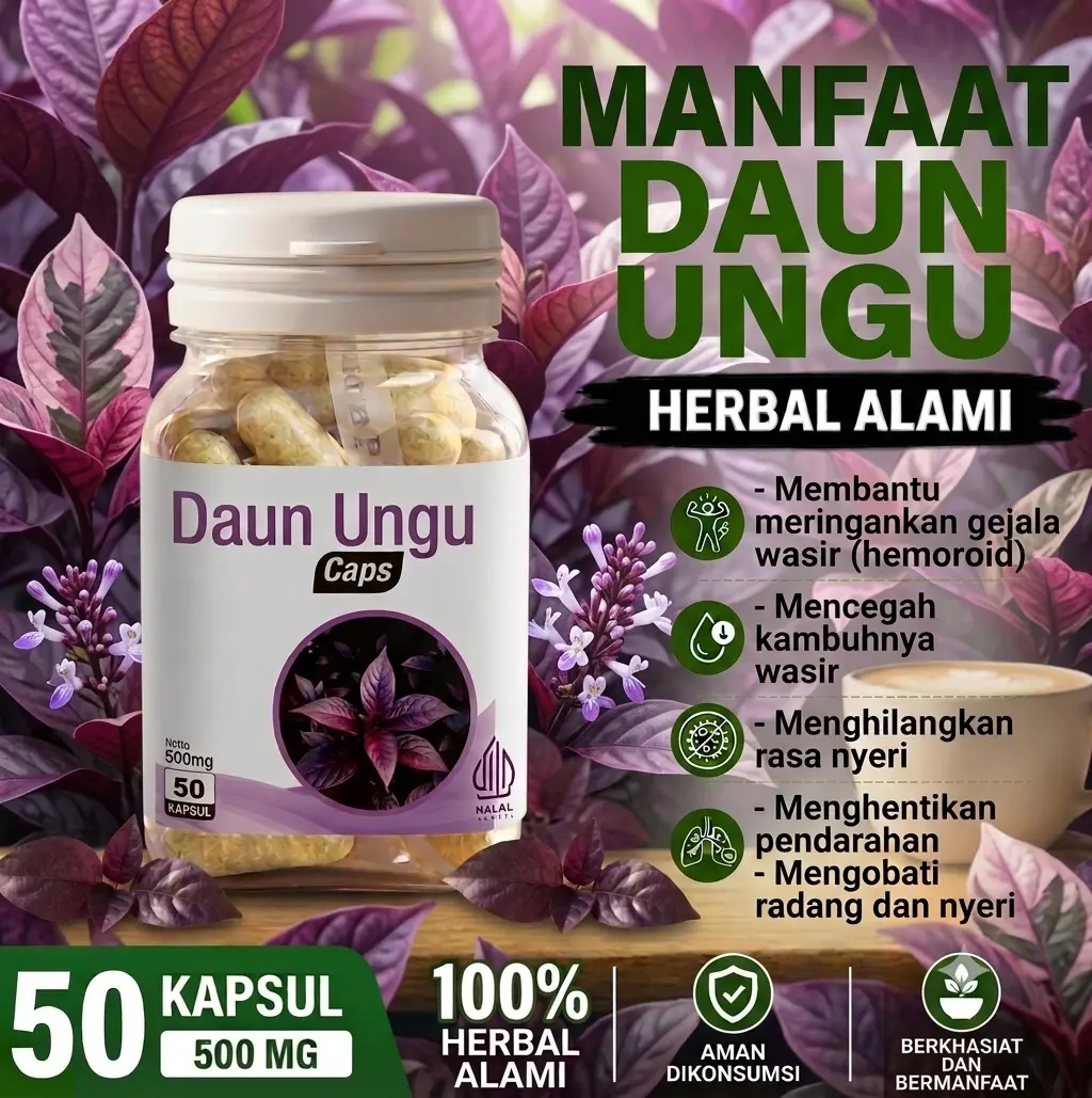 Kapsul Daun Ungu Herbal Alami 500mg untuk Mencegah Kambuh Wasir - 50 Kapsul Solusi Alami Kesehatan Wasir