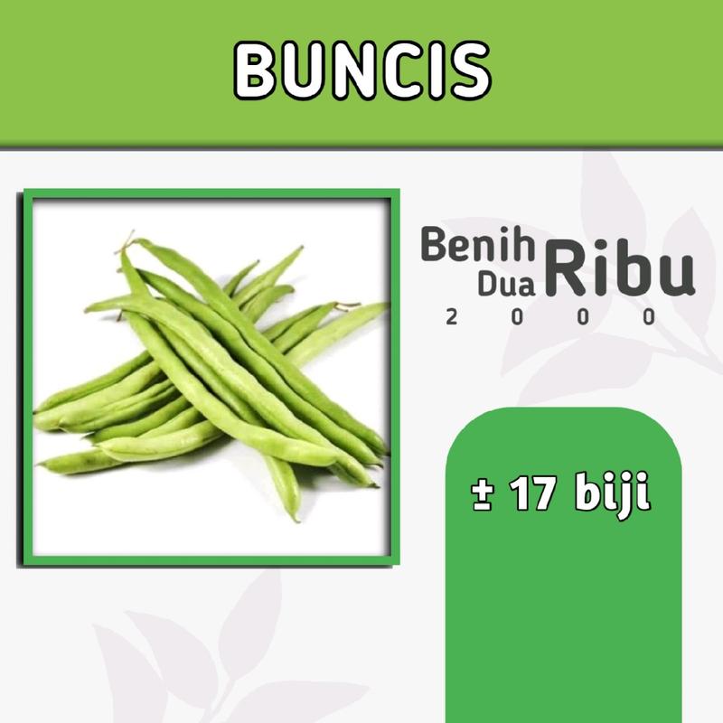 benih buncis bibit tanaman sayur rumahan repack seribuan benih - Shop ...