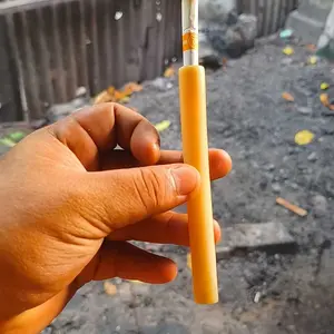 tenggeran langsap10centi, ayunan tempat tengger burung