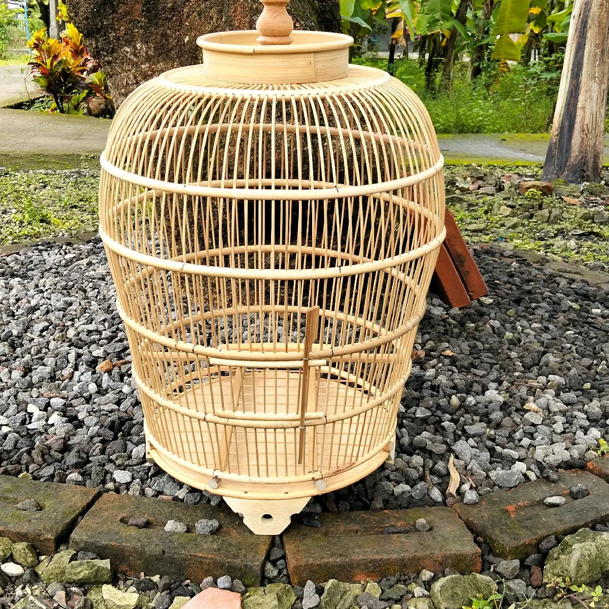 Sangkar Burung Perkutut Sabuk Rotan Jeruji Bambu Ambrukan 38x50 cm Kualitas Terbaik untuk Jemur & Harian Handmade Elegan dan Aman
