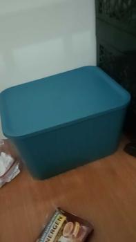 Product Review of FURNITUR88 Kotak Penyimpanan Plastik Serbaguna Keranjang Plastik Dengan Tutup Bahan Plastik Pilihan Warna Putih Biru Kuning from c**a 0