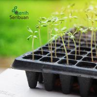 Gambar Tray Semai Pot Tray Tebal 1 MM Lubang 128 Media Tanam Semai Benih - Benih Seribuan - Tray Semai 128 dari Benih Seribuan Kab. Boyolali 4 Tokopedia