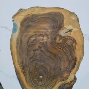 talenan bulat  buat cacah daging.