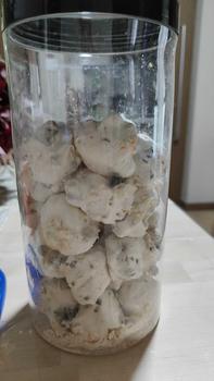 Product Review of Choco Chip Cornflake Meringue 215gm est 42pcs from 💐**💐 0
