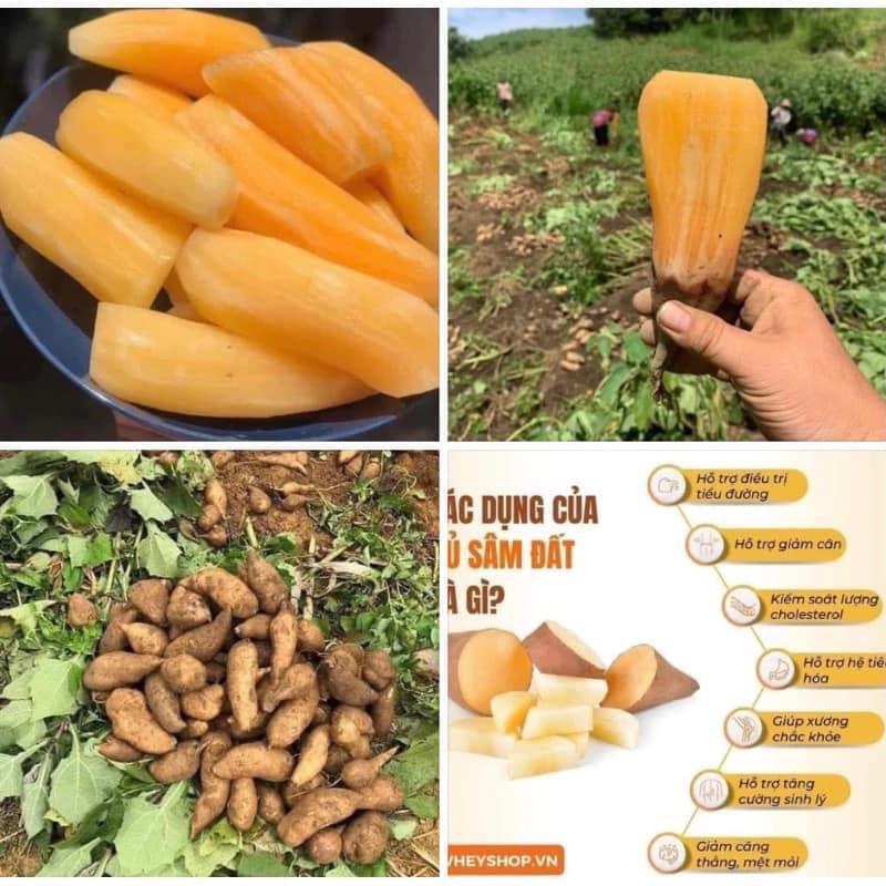  trà sâm khoai sâm đất tốt cho sức khoẻ 