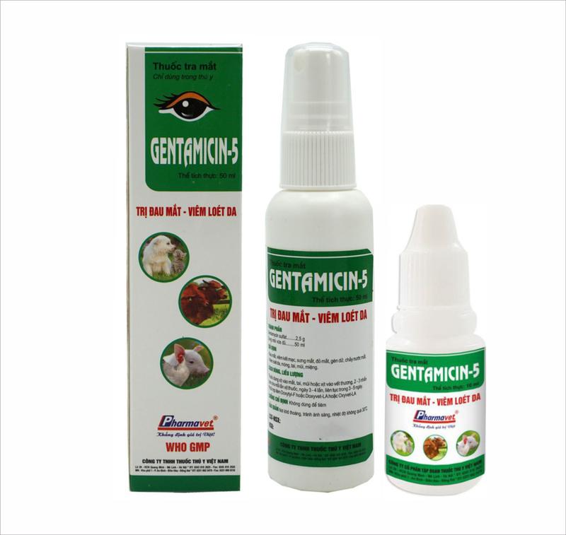 GENTAMYCIN-5, nhỏ xịt mắt, mũi, tai, đẹn họng, cựa quẹt, soi bội, viêm loét da gà đá, chó mèo, vật nuôi khác. Dạng dung dịch xịt trực tiếp