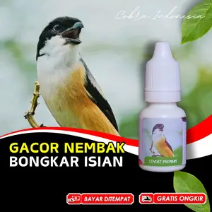 Vitamin Burung Cendet Gacor