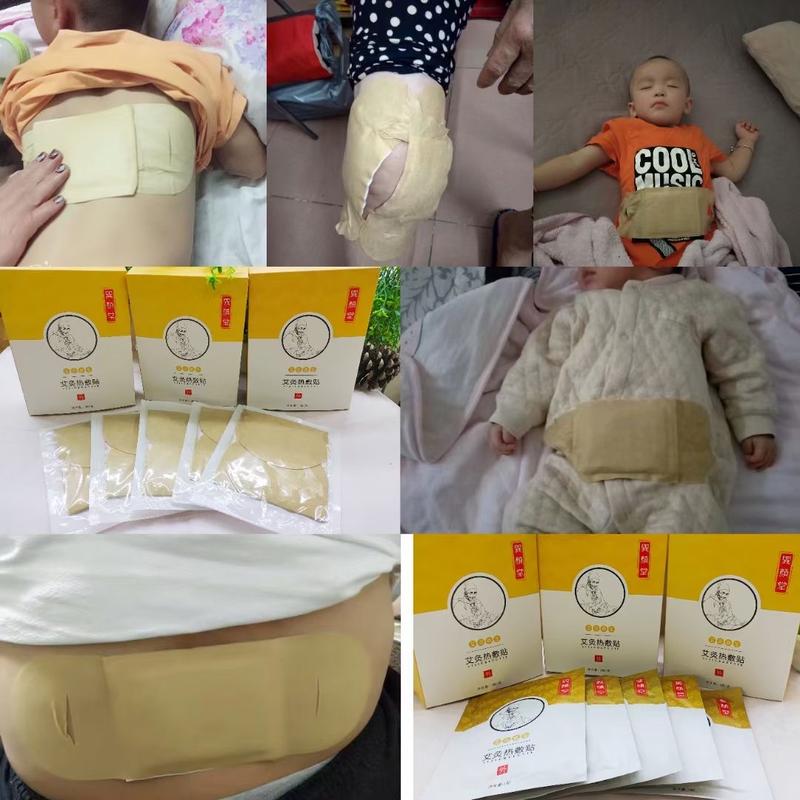 Product Introduction of [TFS Health & Home] MUGWORT WORMWOOD AICAO Pain Relief Heat Pad Paste-on Warm 22