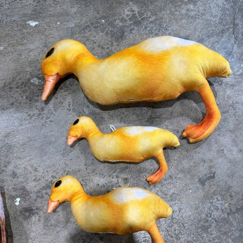 Gấu bông in hình con vịt 3D sét nét