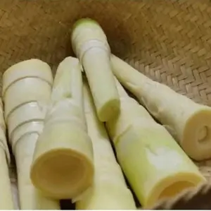 Sayur Organik Rebung Bambu segar 500 gram-az