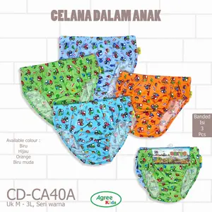 ISI 3 Pcs CD Celana Dalam Anak Laki Agree Kids CA40A CA39B Motif Fashion