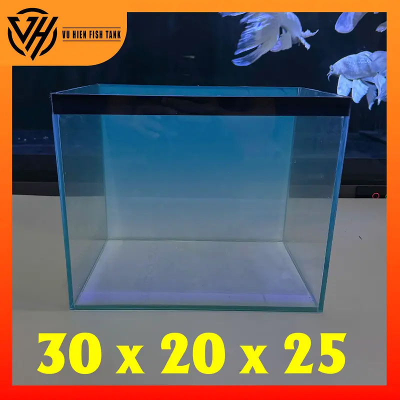 Hồ 30x20x25 bả keo đen tặng tranh BlueSky 5