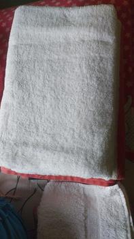Product Review of Wiselie Spesial Bundling Pembersih Mesin cuci500gr, Cloth Stain Remover 500gr Free Toilet 30ml Rumah bersih siap menerima tamu aman untuk keluarga Cairan from a**a 0