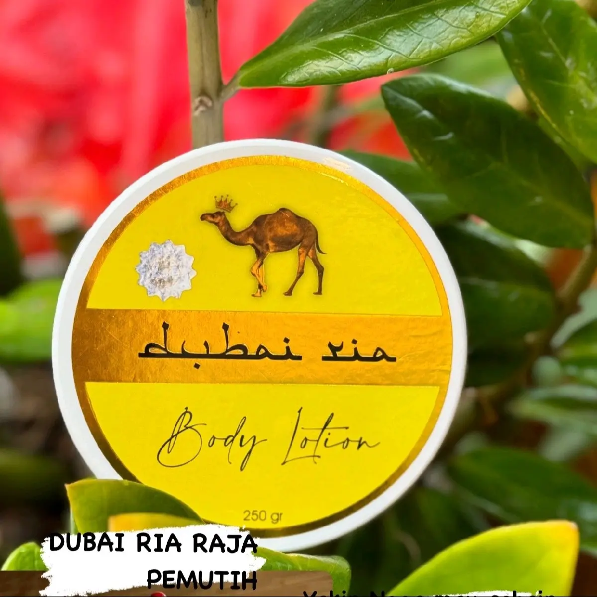 HB DUBAI PAKET USAHA 3 POT