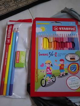 Product Review of STABILO Swans School Office Stationery Colour Pencil Set (13/ 26/ 38/ 48) from r**A 1