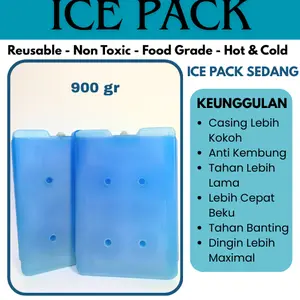 Blue Ice Pack Pendingin Ukuran Sedang Pengganti Dry Ice Praktis Frozen Dry Ice Biru Premium