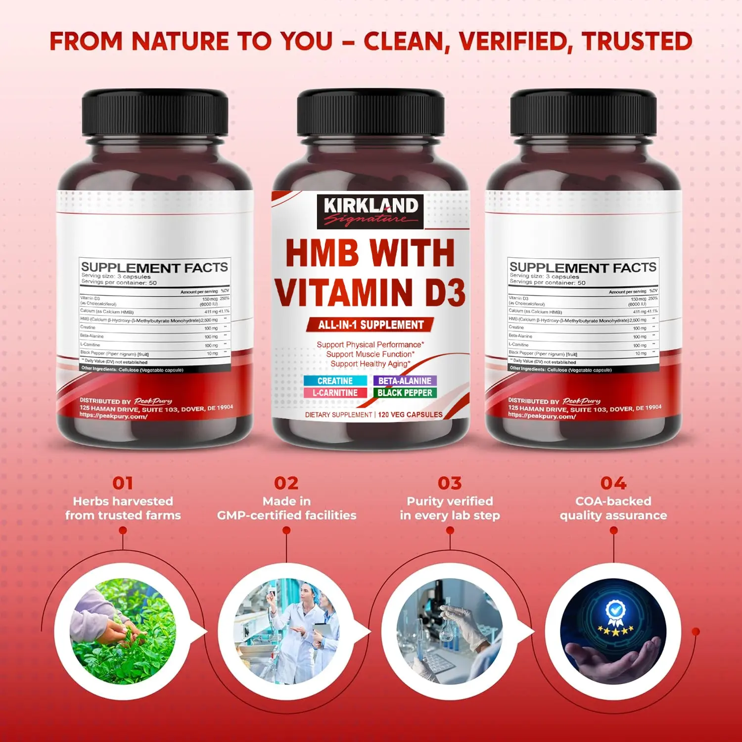 HMB with Vitamin D3, Creatine, L-Carnitine & Beta-Alanine – All-in-One  Daily Support for Strength & Active Wellness – Made in USA
