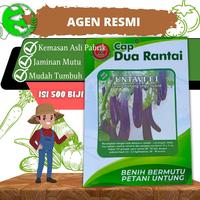 Gambar Benih Terong Ungu Untavi F1 500 seed Kemasan Ori Cap DUA RANTAI dari Kandang Tentrem Lestari Kab. Pati 1 Tokopedia