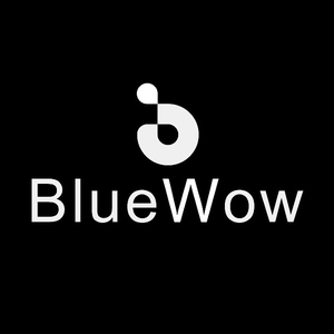 BlueWow Digital