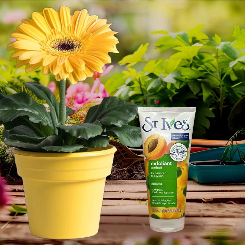 Sữa rửa mặt tẩy tế bào chết st.Ives scrub 170g thành phần thiên nhiên nuôi dưỡng làn da tươi trẻ mỗi ngày 5