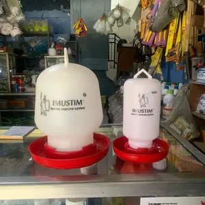 Galon Air Tempat Minum Ayam Ukuran 800Ml 3Liter