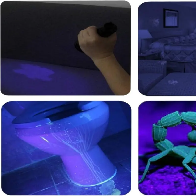 Senter UV Deteksi Uang Palsu Urine Hewan Peliharaan - UV Pet Urine Fungus Detection Money Detector 365nm - TaffLED S11-Z 8