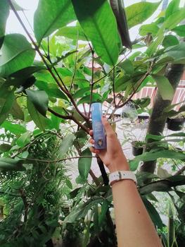 Product Review of Pigeon Teens Hydra Squad Face Mist 50ml | Skincare Remaja | Ekstra Melembapkan | Hyaluronic Acid & Witch Hazel from G**💋 0