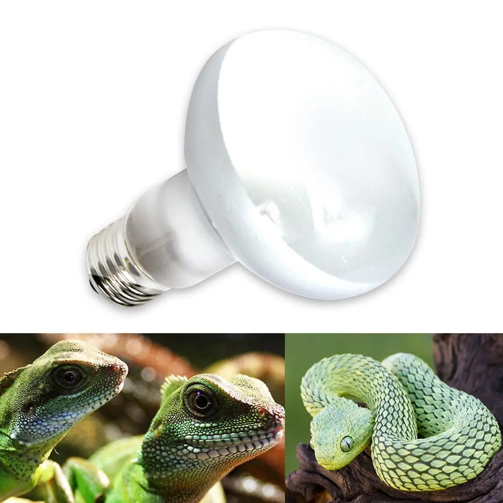 QCCP Reptile Pet Heating Lamp Full Spectrum Sunlight Basking Ultraviolet Lamp UVA Heater Bulb Aquarium Temperature Controller 220V #436941