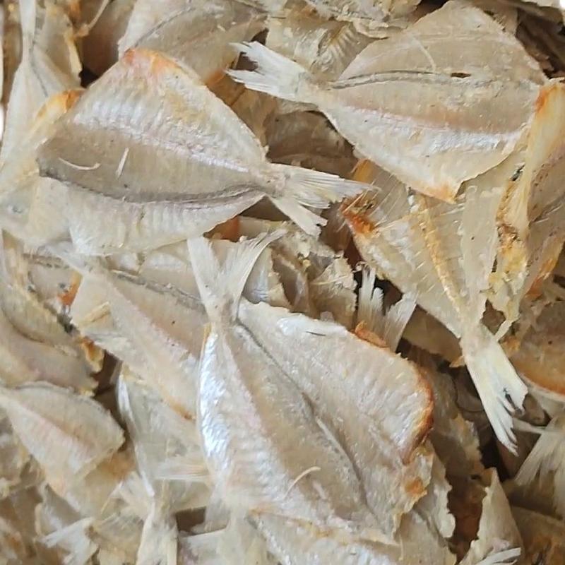 ikan asin kapasan / asin kerupuk (semi asin) kering 0