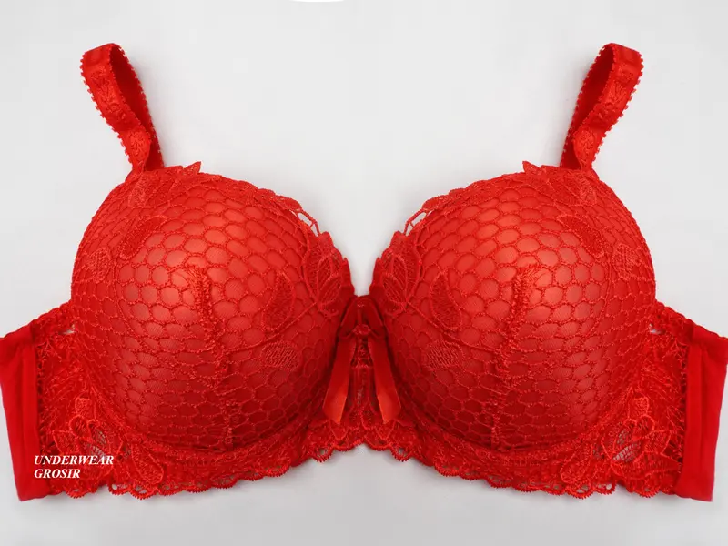 3 PCS PROMO ! BRA BH Busa Tebal Kawat Push Up Bordir Brukat Cantik Cup B Kait 3 | Size 38 40 42 44 3