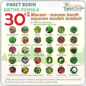32 Macam Benih Paket Sayuran Hybrida F1 Bibit Sayuran Lengkap Isi Banyak Bonus 10 Polybag dan Bonus 2 Benih Buah