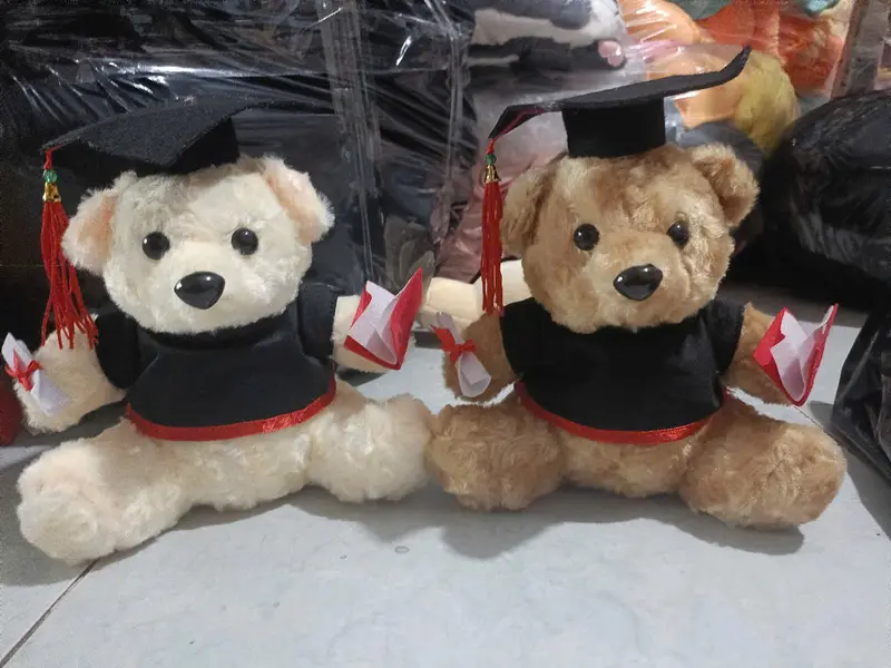 Gấu bông gấu tốt nghiệp gấu cử nhân có ghi tên thú nhồi bông gấu tốt nghiệp dễ thương cute đáng yêu 6