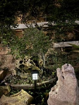 Product Review of Lampu Taman Solar Tenaga Surya | Lampu Taman Tancap | Garden Lamp BIT-LT011 from W**e F**y 2
