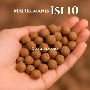 GURAH WNT ISI 10  COKLAT MOTE MOTE UNTUK DIY MANIK MANIK UNTUK MEMBANTU MEMPERCANTIK HIASAN DIY