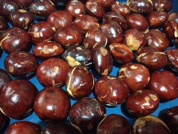 Product Review of jengkol tua belom di rendem from W**i 0