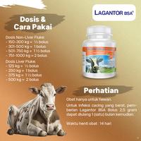 Gambar KALBE Lagantor Bolus Obat Cacing Spektrum Luas Sapi & Kerbau - 40 Bolus dari Kalbe Animal Health Kota Administrasi Jakarta Timur 4 Tokopedia