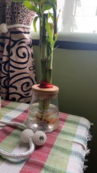Product Review of Nordic Minimalist Transparent Vase Automatic Water Absorption Plant Pot Plastic Propagation Pot from K**y N** 0