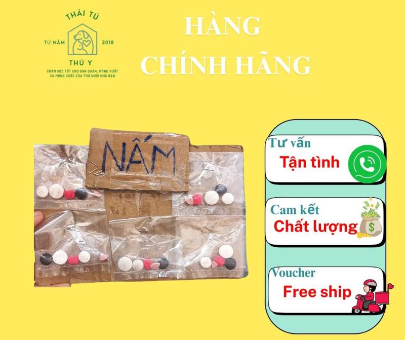 HÀNG CHÍNH HẢNG - Viên Uống 21 Ngày Trị Viêm Da Nấm Vảy Gàu Vảy Nến Chó Mèo Giảm Ngứa Rụng Lông Chăm Sóc Da Lông Thú Cưng
