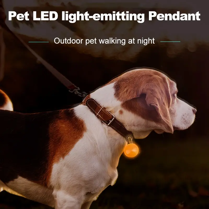 Đồ trang trí phát sáng LED cho thú cưng, cần thiết để dắt chó đi dạo, đảm bảo an toàn chống thất lạc
